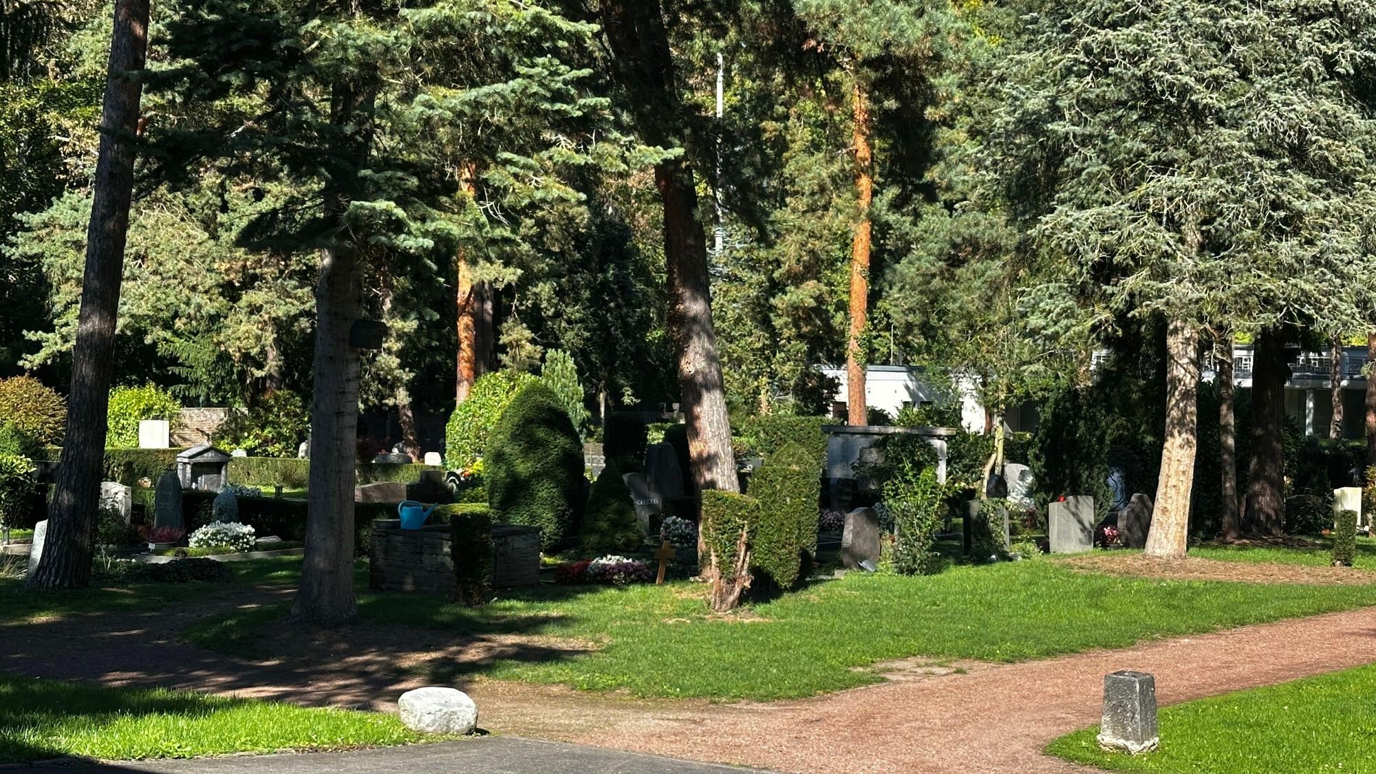 Auf dem Friedhof Rodenkirchen an der Sürther Straße sind keine Baumbestattungen möglich.