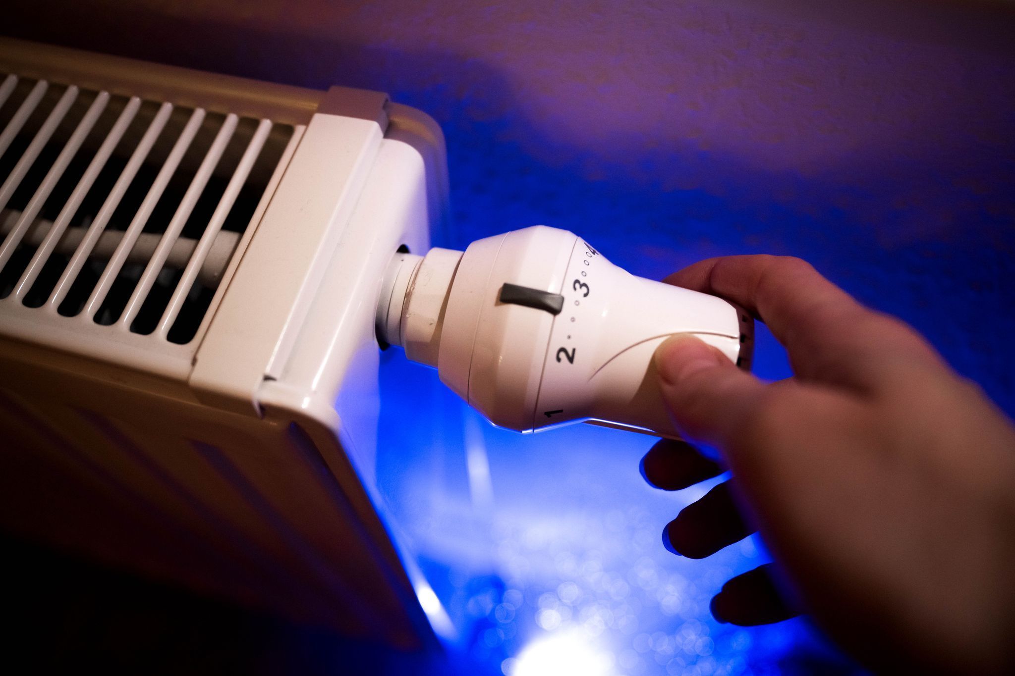 Transition to winter: Cold in the apartment - | when does it make sense to ...