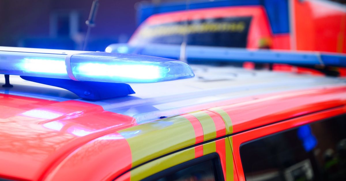 Im Kölner Süden: 14-Jähriger beim Trainsurfing lebensgefährlich verletzt