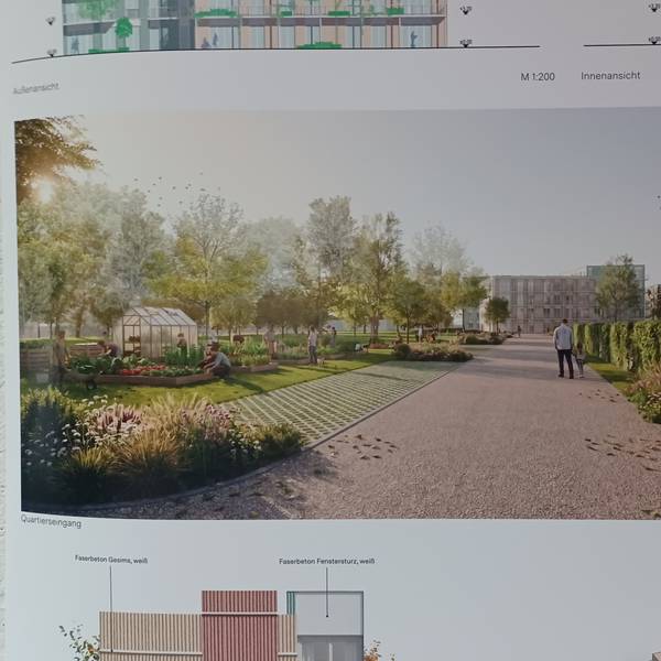 Eine Visualisierung zeigt Grünflächen und Häuserblocks.