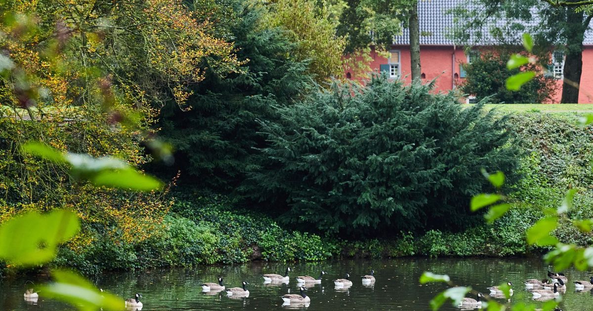 Fog possible in the morning: Cloudy to sunny - | calm autumn weather in ...