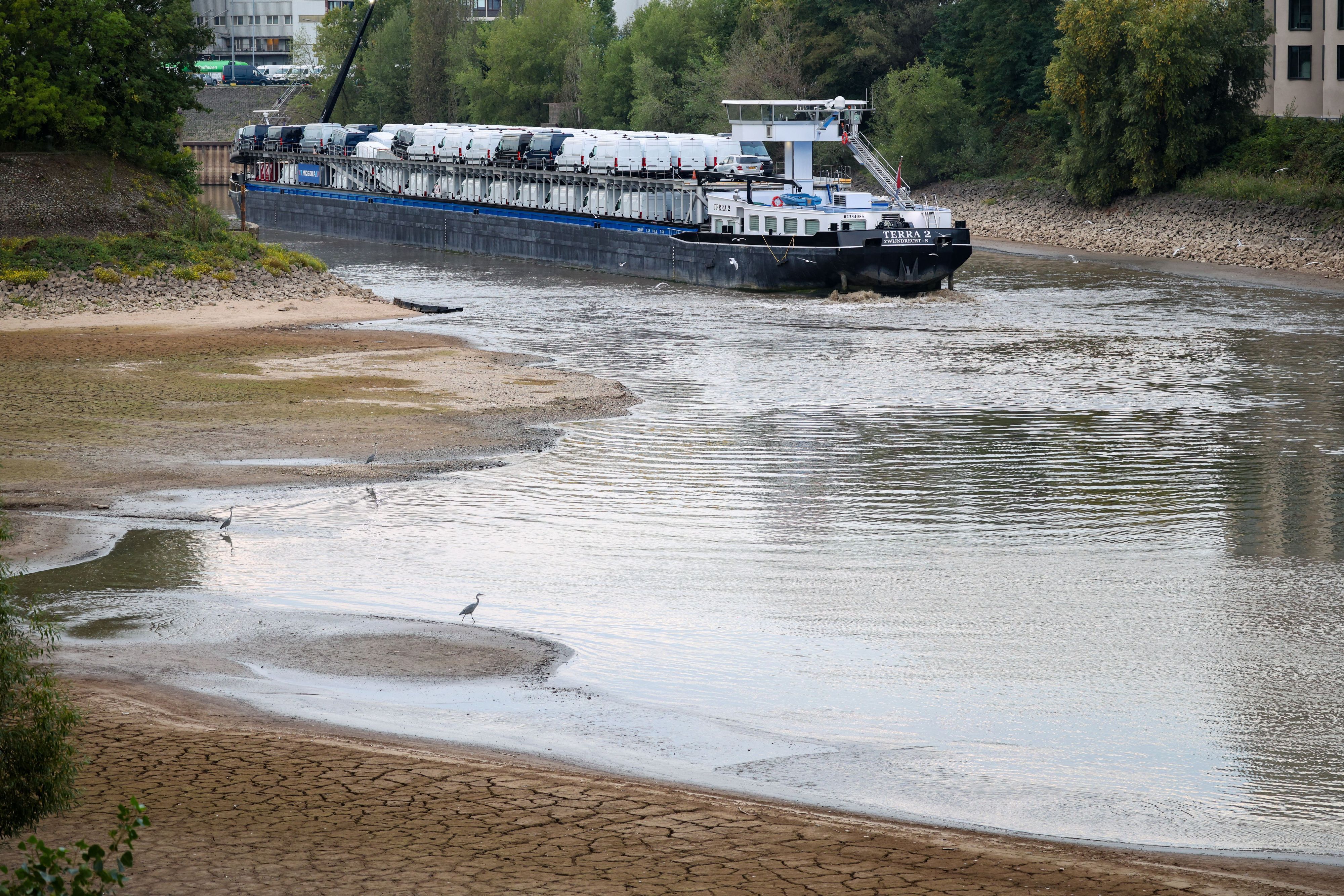 Ein Frachtschiff aus den Niederlanden, beladen mit Kleintransportern, fährt sich bei Niedrigwasser des Rheins im Düsseldorfer Hafen fest.