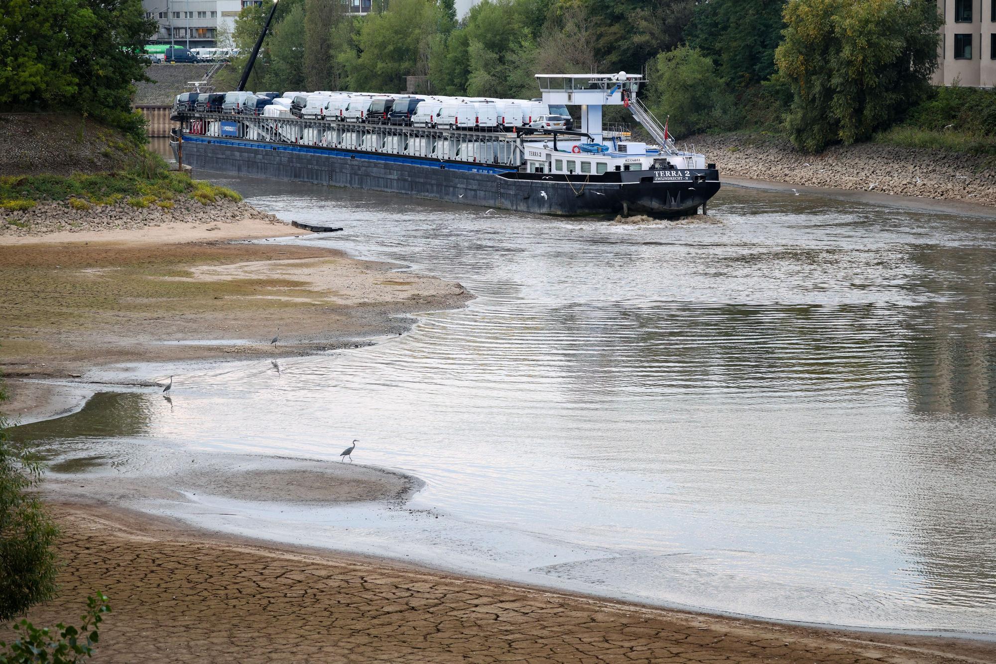 Ein Frachtschiff aus den Niederlanden, beladen mit Kleintransportern, fährt sich bei Niedrigwasser des Rheins im Düsseldorfer Hafen fest.