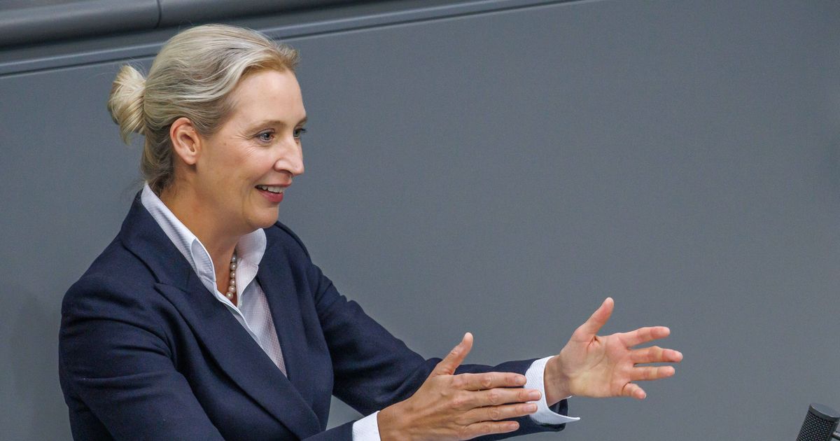 AfD leader laughs loudly: Hofreiter insults Weidel - | Interjection is ...