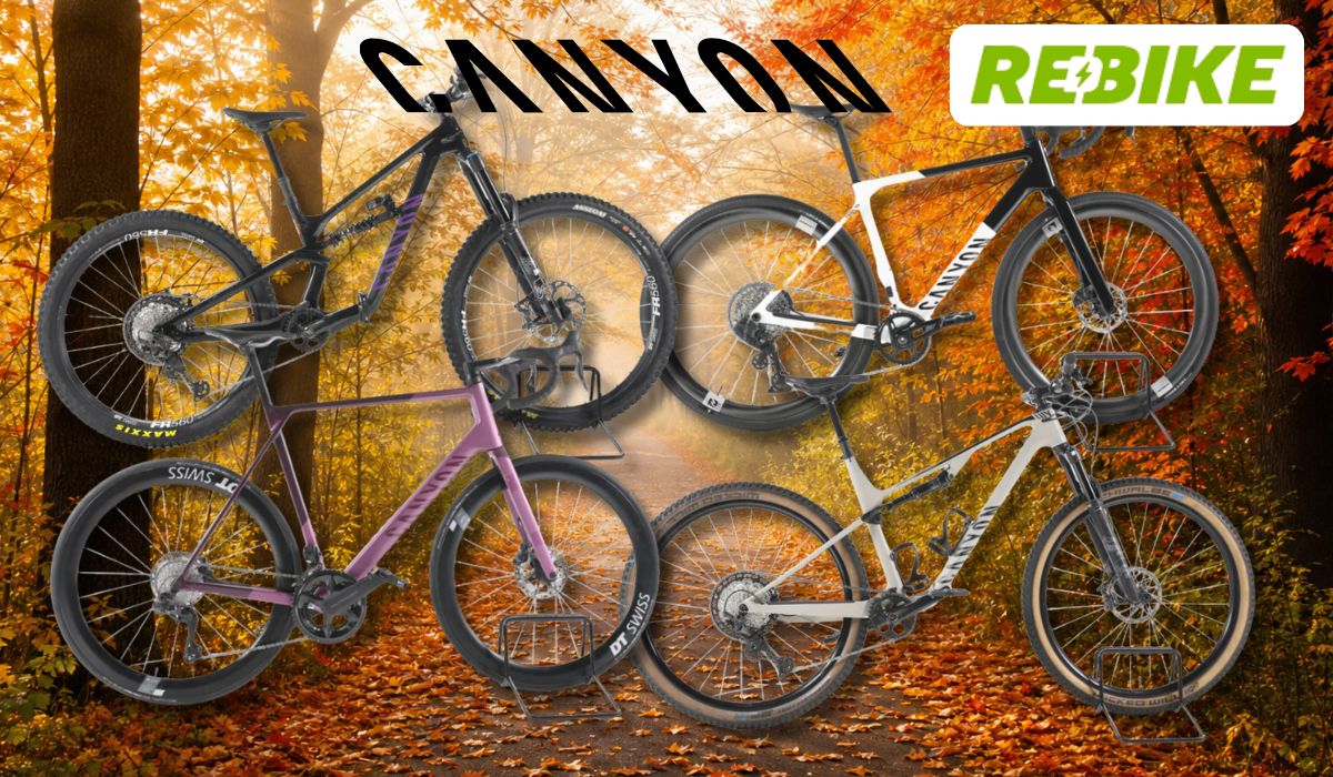 Eine Darstellung von verschiedenen Canyon Fahrrädern vor einem Fahrradweg.