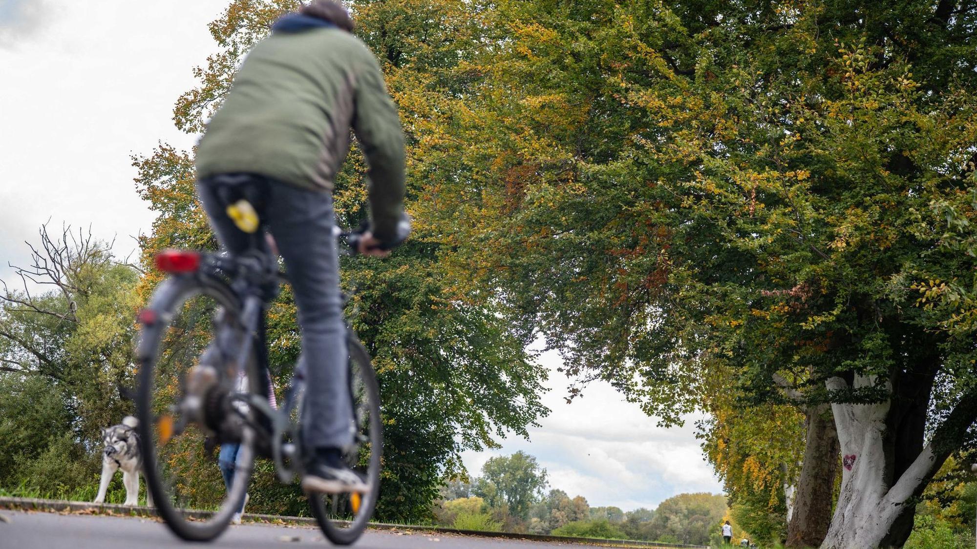 Für die kommenden Tage erwartet der DWD windiges und regnerisches Wetter in NRW. (Symbolfoto)
