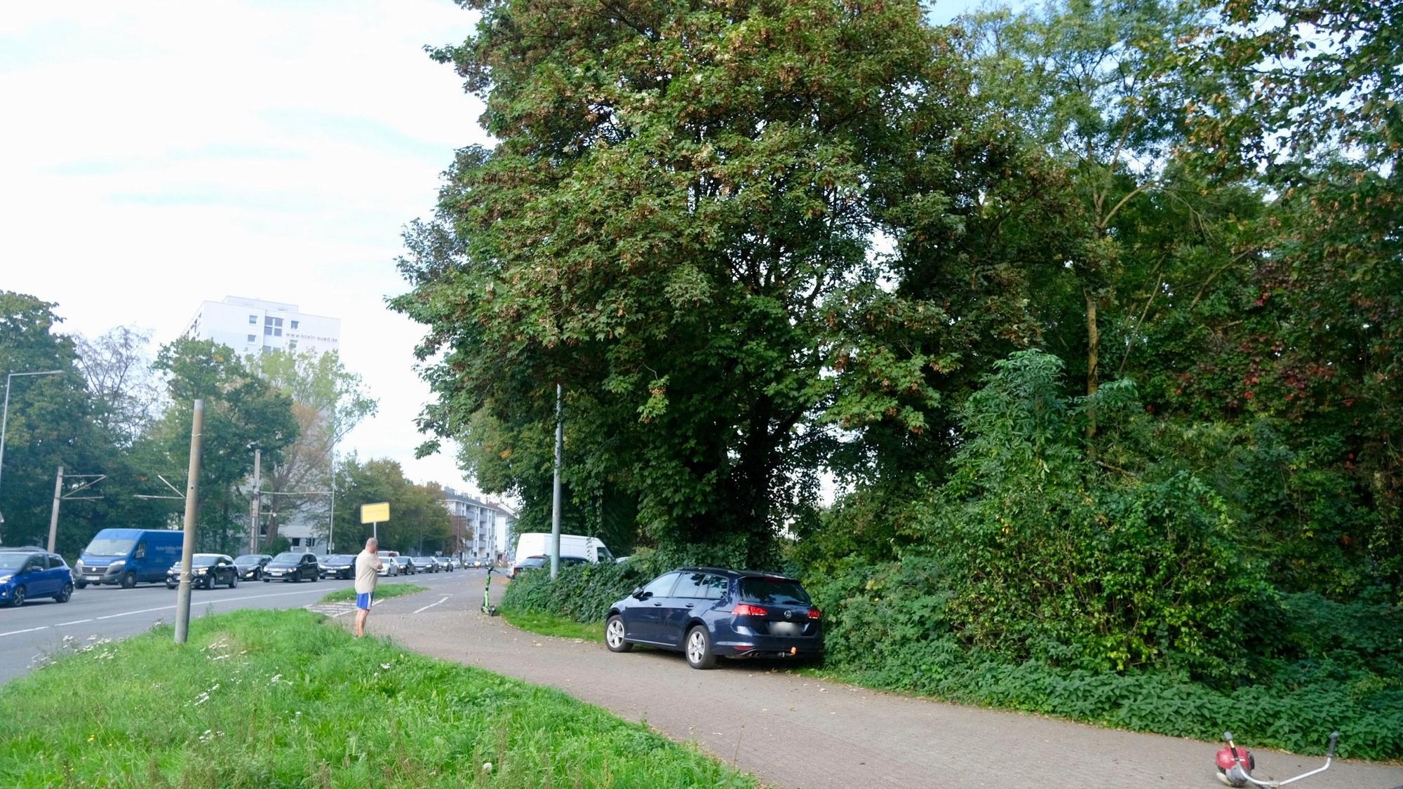 Ein Mann steht am Straßenrand neben einer stark befahrenen Straße mit Autoschlange, daneben ein parkendes Auto, Bäume und eine Hecke sowie ein weißes Hochhaus im Hintergrund.