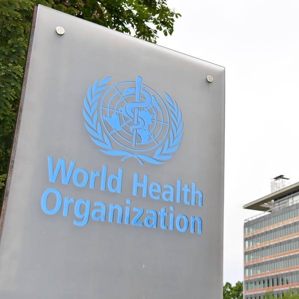 Frankreich meldet ersten Shamonda-Virus-Fall beim Menschen