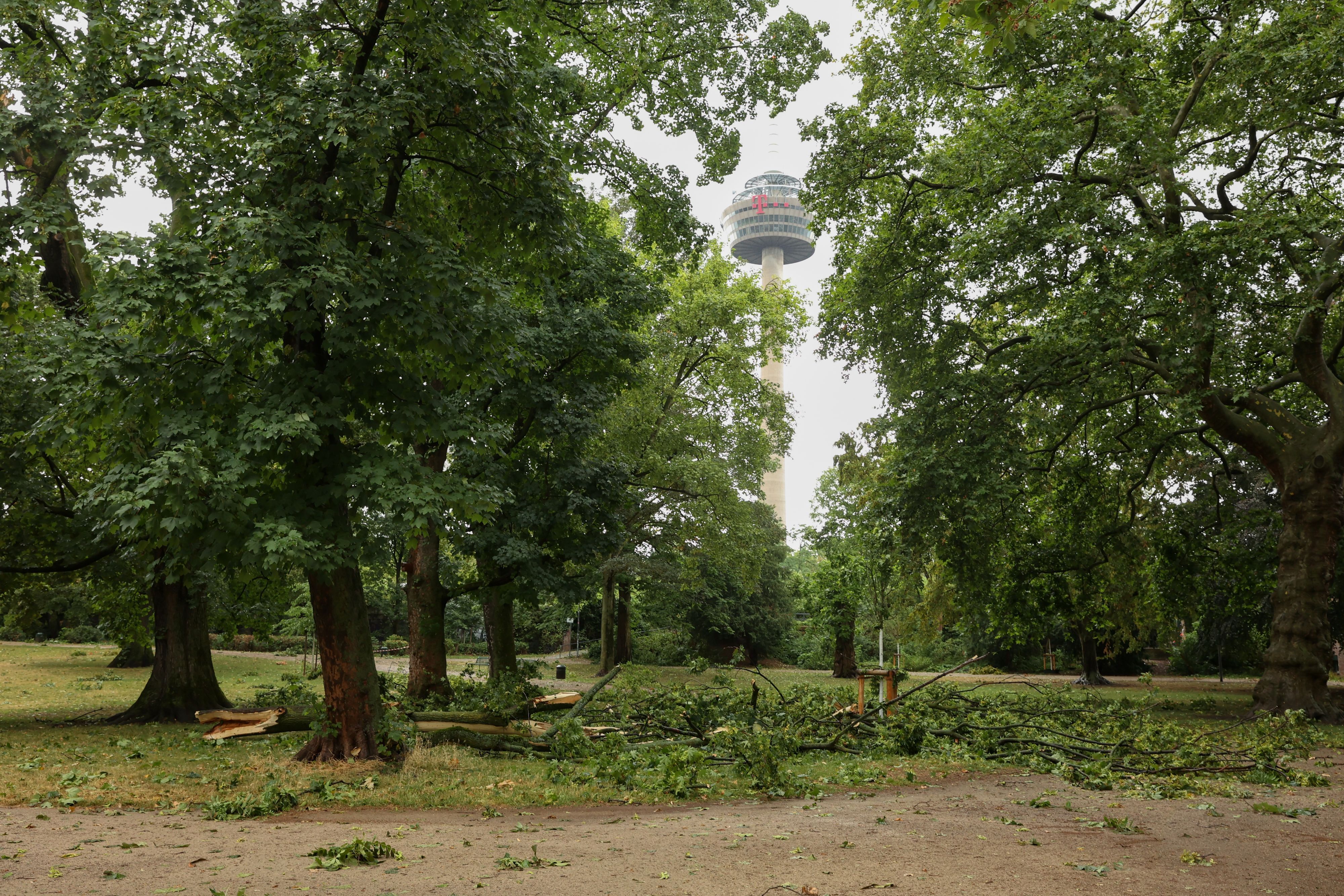 24.07.2023
Köln:
Die Windböen eines kräftigen Gewitters am Mittag haben im Kölner Stadtgarten zahlreiche Äste abgebrochen. Die Schäden in dem Park sind umfassend.
Foto: Martina Goyert