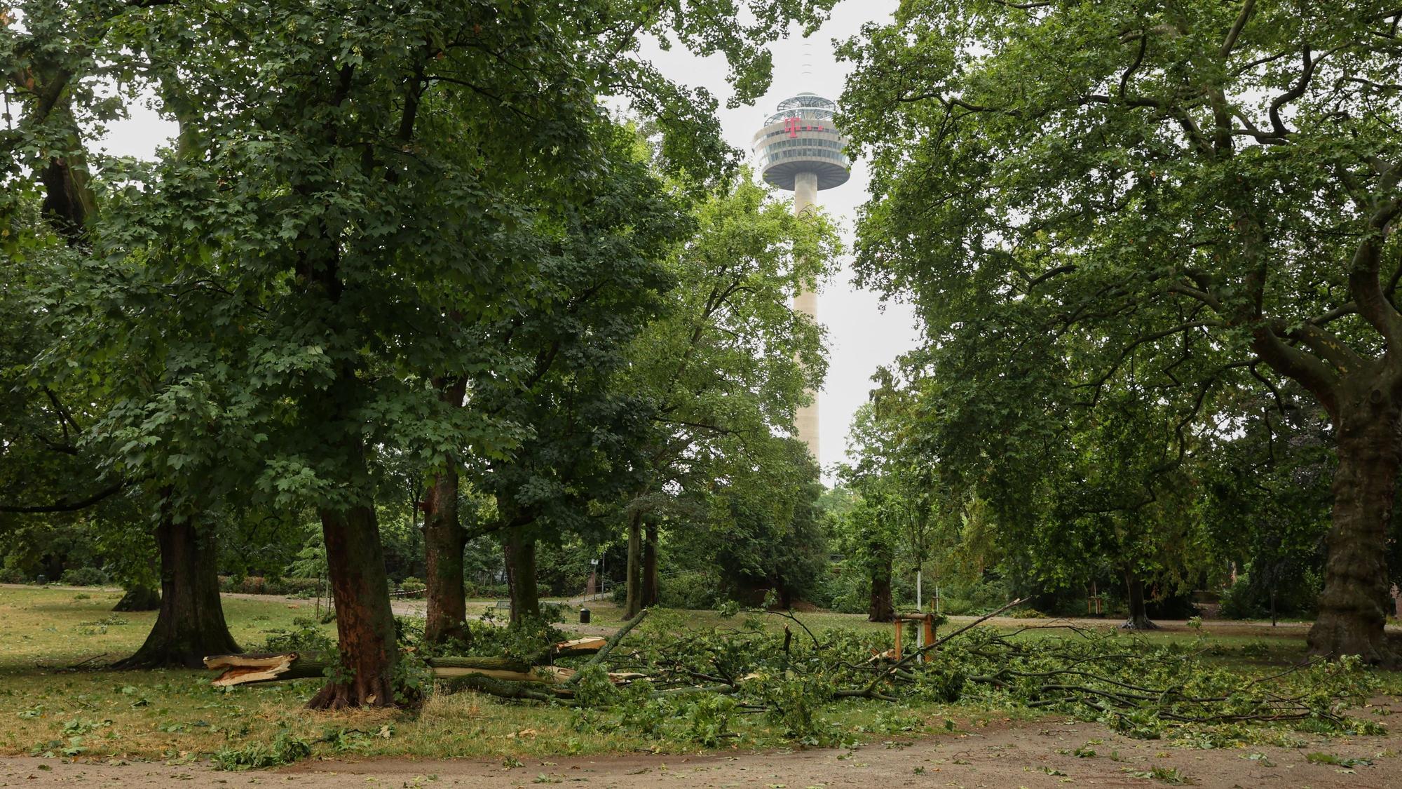 24.07.2023
Köln:
Die Windböen eines kräftigen Gewitters am Mittag haben im Kölner Stadtgarten zahlreiche Äste abgebrochen. Die Schäden in dem Park sind umfassend.
Foto: Martina Goyert