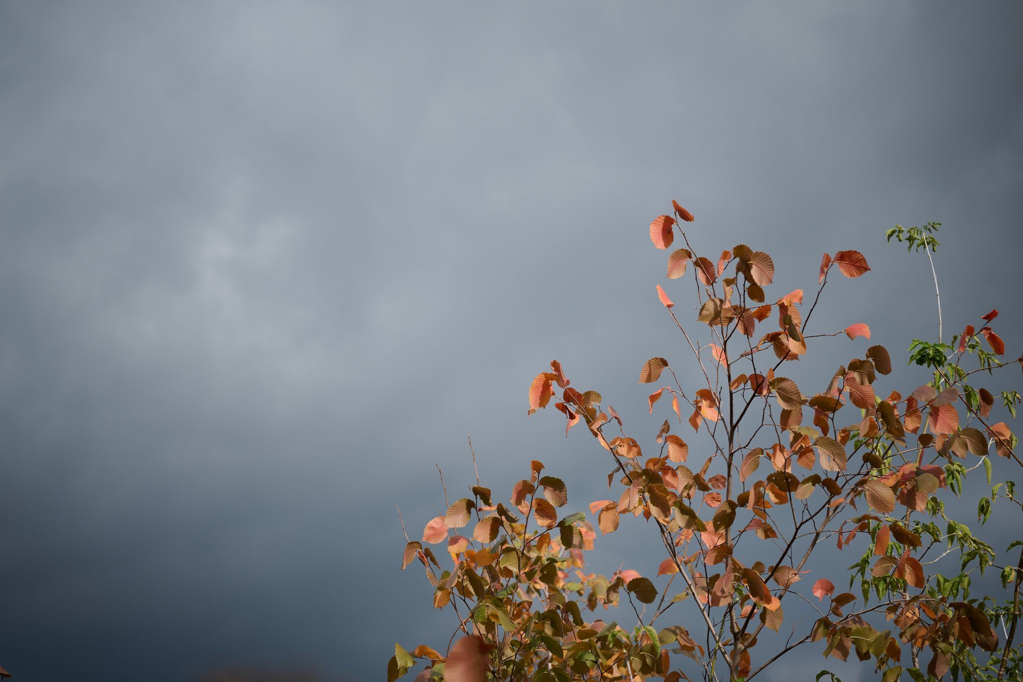 Herbstwetter