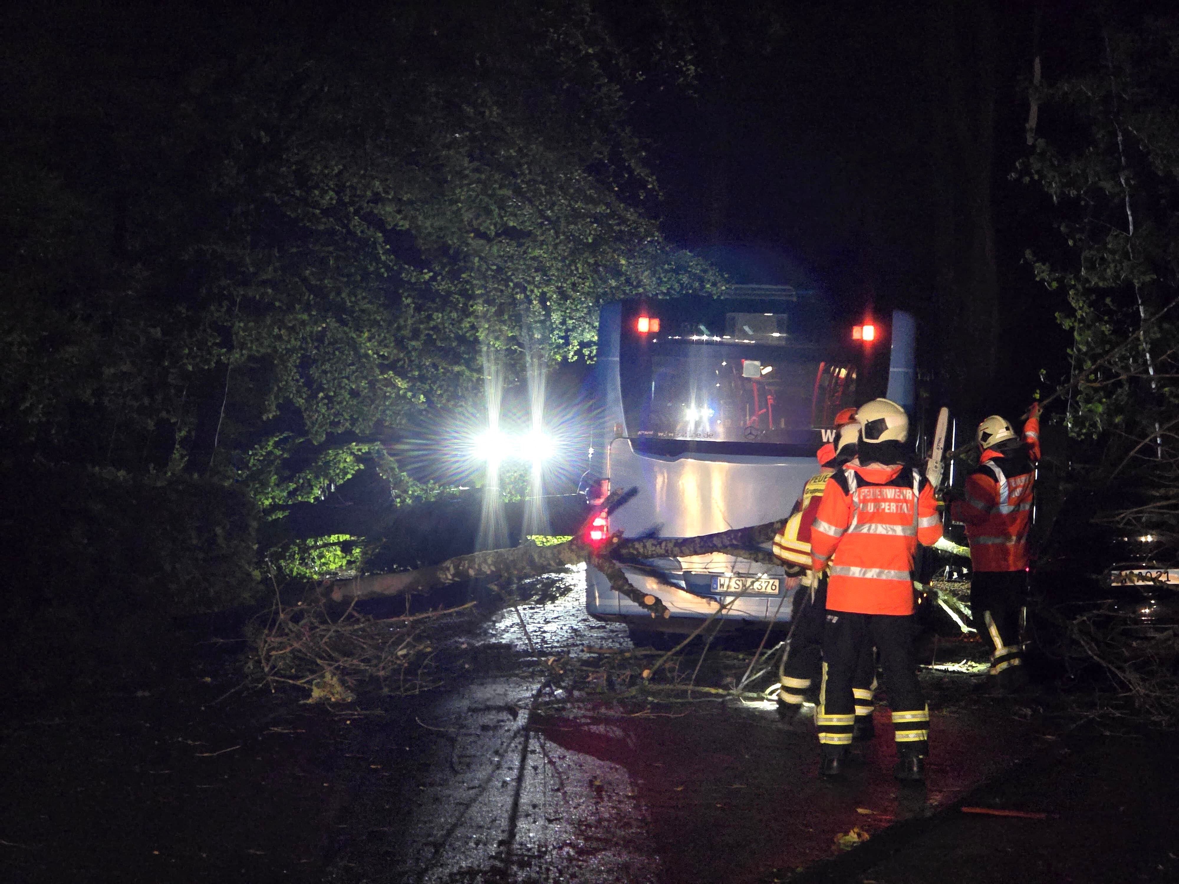 Ein Linienbus der Stadtwerke Wuppertal ist eingekeilt zwischen mehreren umgestürzten Bäumen. Sturmtief „Luise“ sorgte in NRW für eine stürmische Nacht.