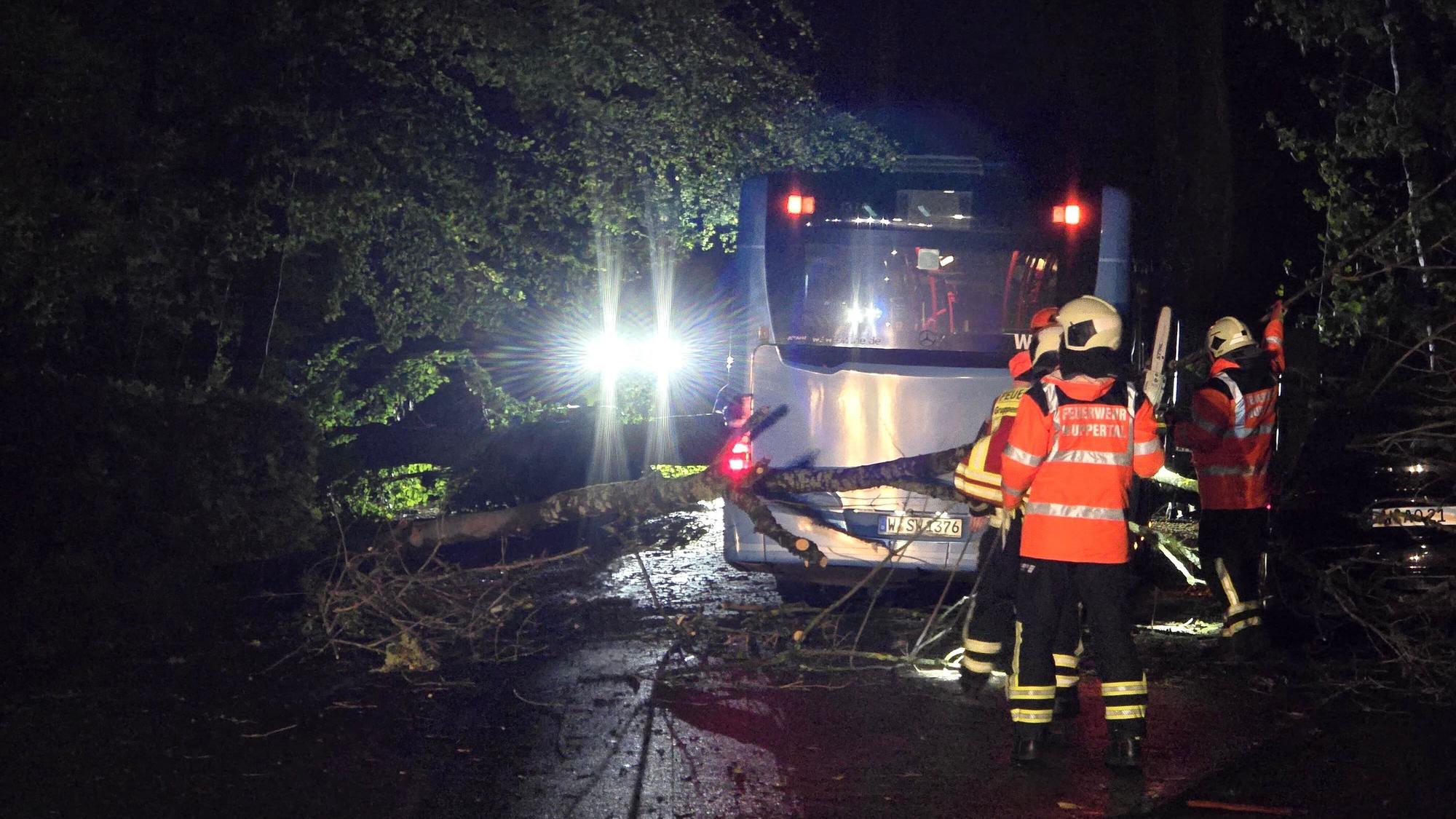 Ein Linienbus der Stadtwerke Wuppertal ist eingekeilt zwischen mehreren umgestürzten Bäumen. Sturmtief „Luise“ sorgte in NRW für eine stürmische Nacht.