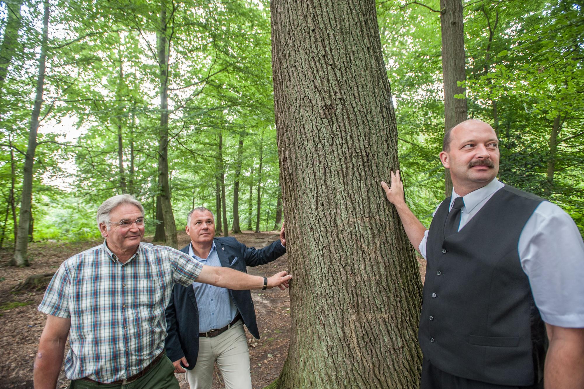 Bei der Vorstellung der Idee 2018: Bestatter Ralf Aschenbroich (von rechts) mit Bürgermeister Frank Steffes und Landwirt Karl-Otto Dickhoven als Beauftragtem des Eigentümers Graf Mirbach von Harff an einem der Bäume des künftigen Friedwaldes im Vorster Busch. (Archivbild)