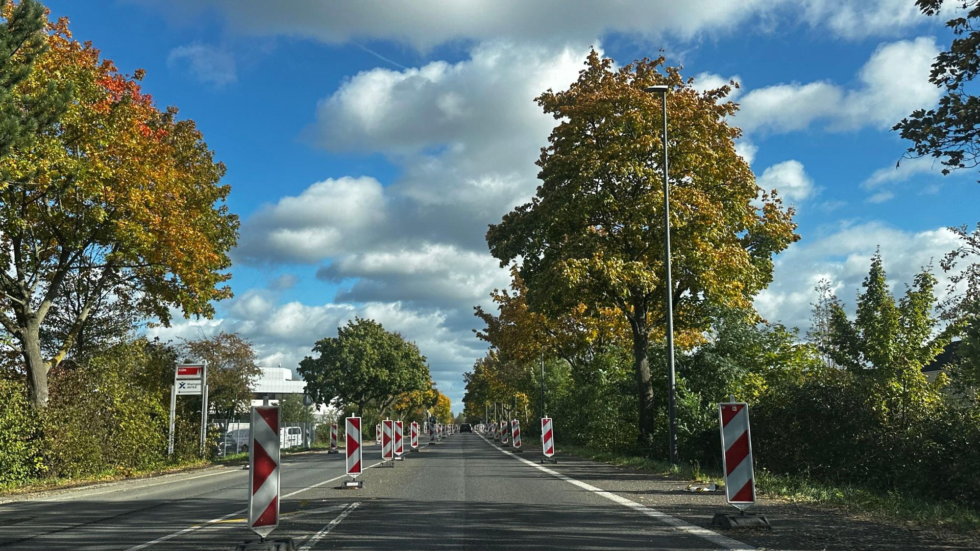 Eine herbstliche Allee, auf deren Fahrbahn rot-weiße Absperrbaken als Verengung oder Baustellenmarkierung stehen, unter blauem Himmel mit Wolken.