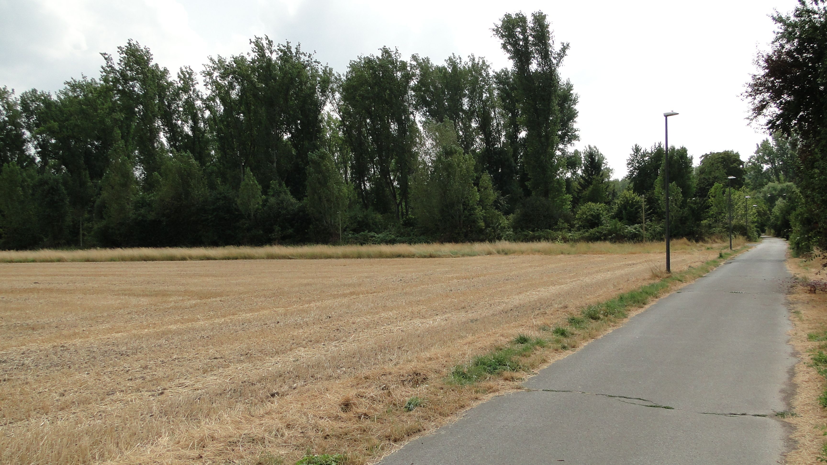 An einer schmalen Straße liegt ein abgeerntetes Feld.
