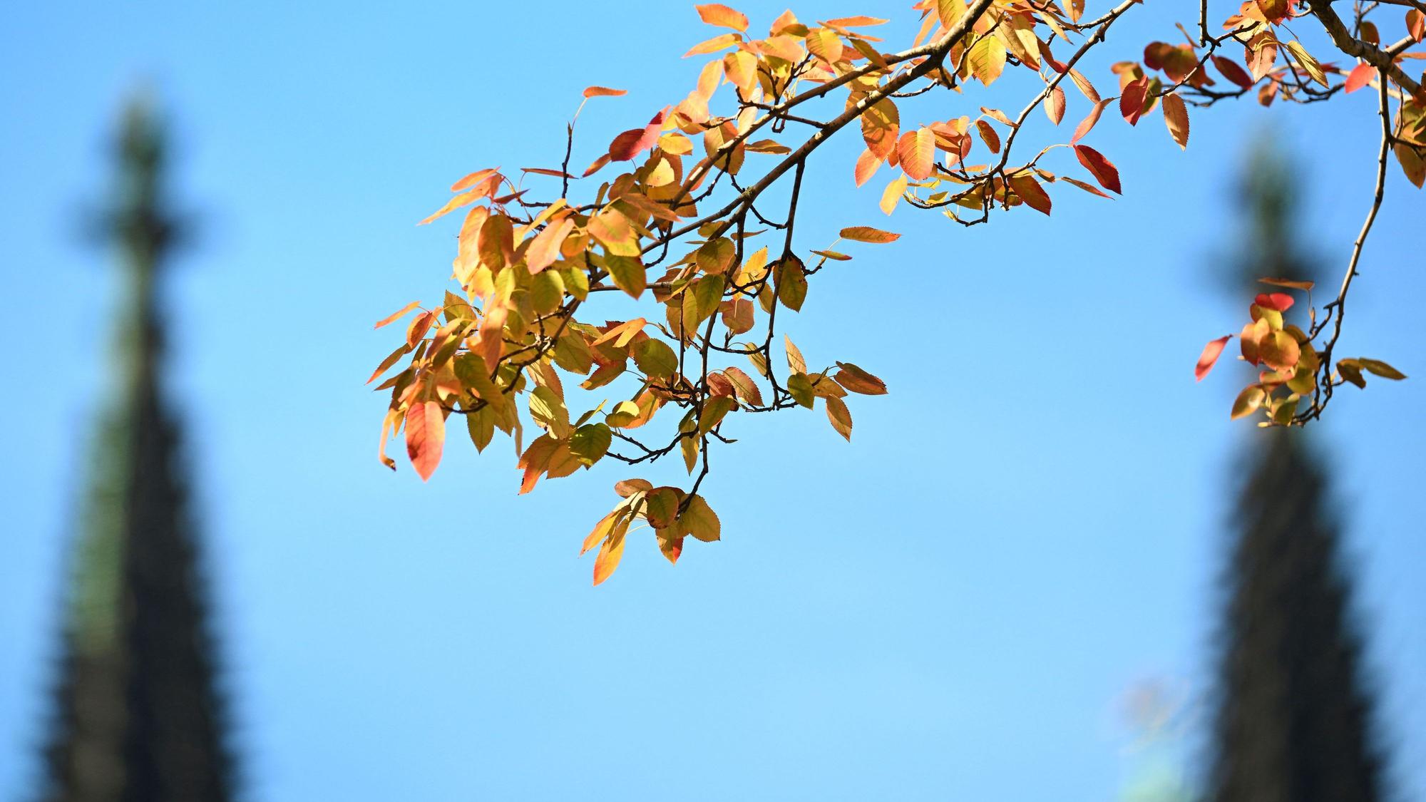 In Köln wird es am Dienstag noch einmal warm und herbstlich-freundlich.