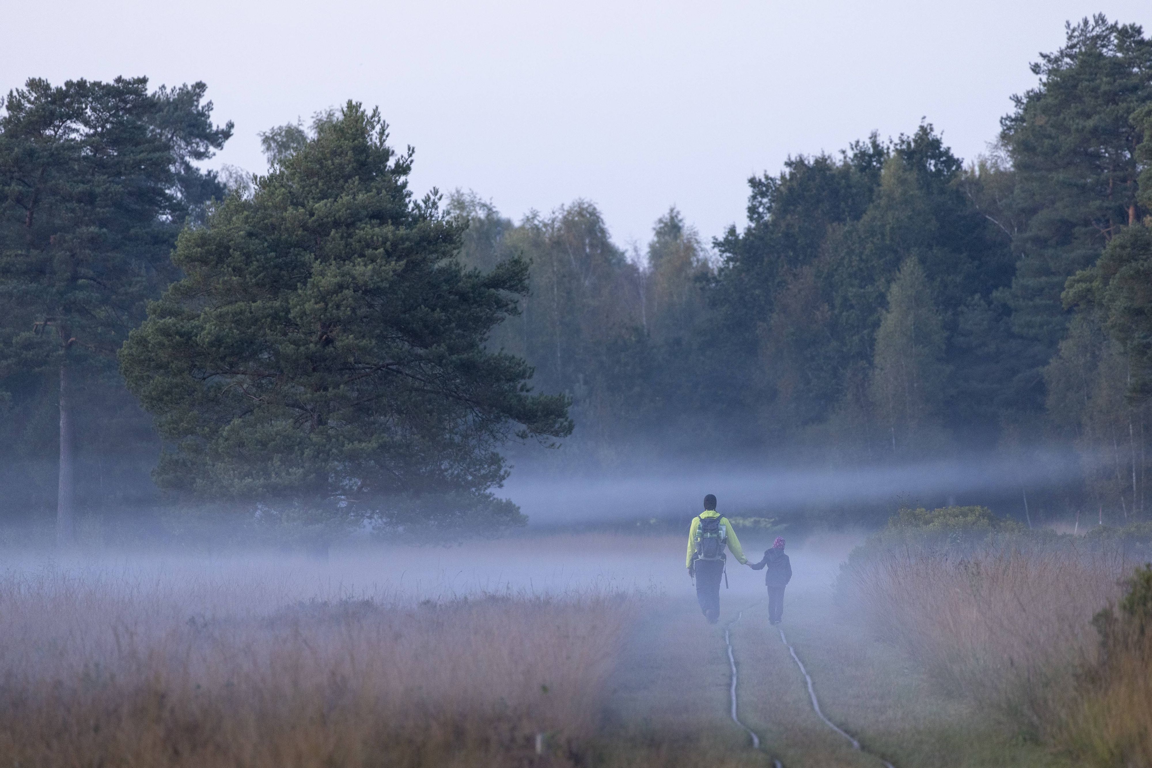 Vater und Kind spazieren durch Nebel.