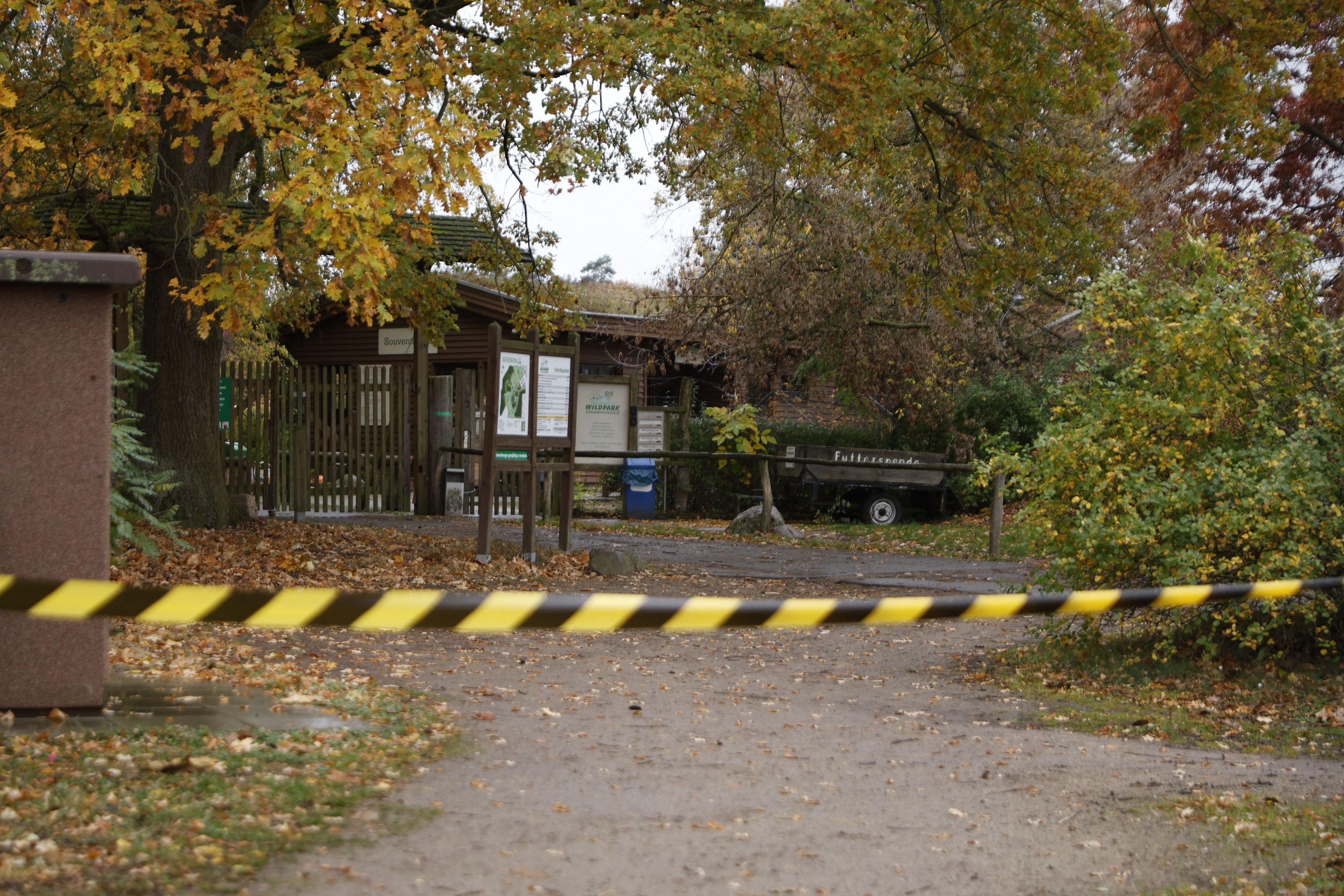28.10.2026, Brandenburg, Baruth: Ein Flatterband sperrt einen Bereich des Wildparks Johannismühle. Ein Kind ist bei der Attacke eines oder mehrerer Tiere im brandenburgischen Wildpark Johannismühle schwer verletzt worden. Foto: Carsten Koall/dpa +++ dpa-Bildfunk +++