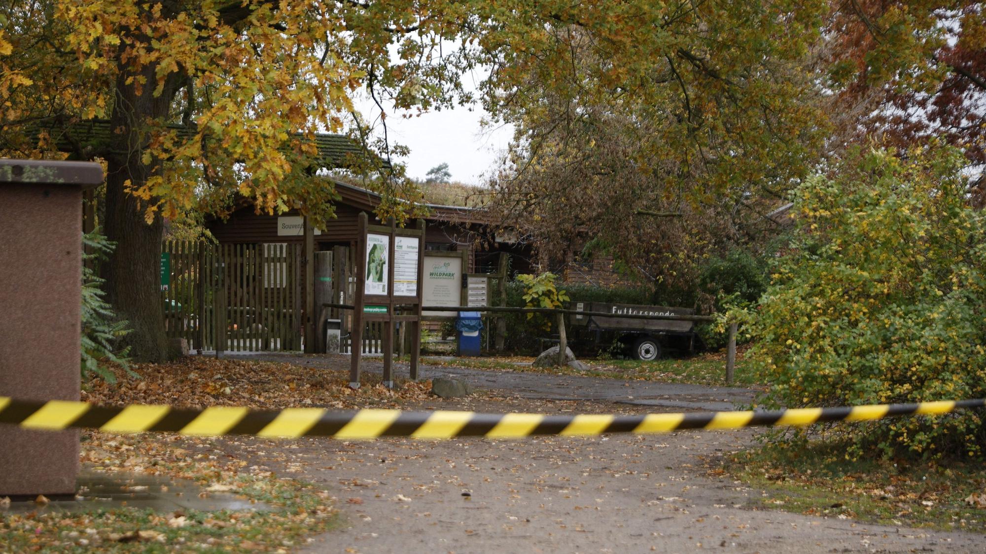28.10.2026, Brandenburg, Baruth: Ein Flatterband sperrt einen Bereich des Wildparks Johannismühle. Ein Kind ist bei der Attacke eines oder mehrerer Tiere im brandenburgischen Wildpark Johannismühle schwer verletzt worden. Foto: Carsten Koall/dpa +++ dpa-Bildfunk +++