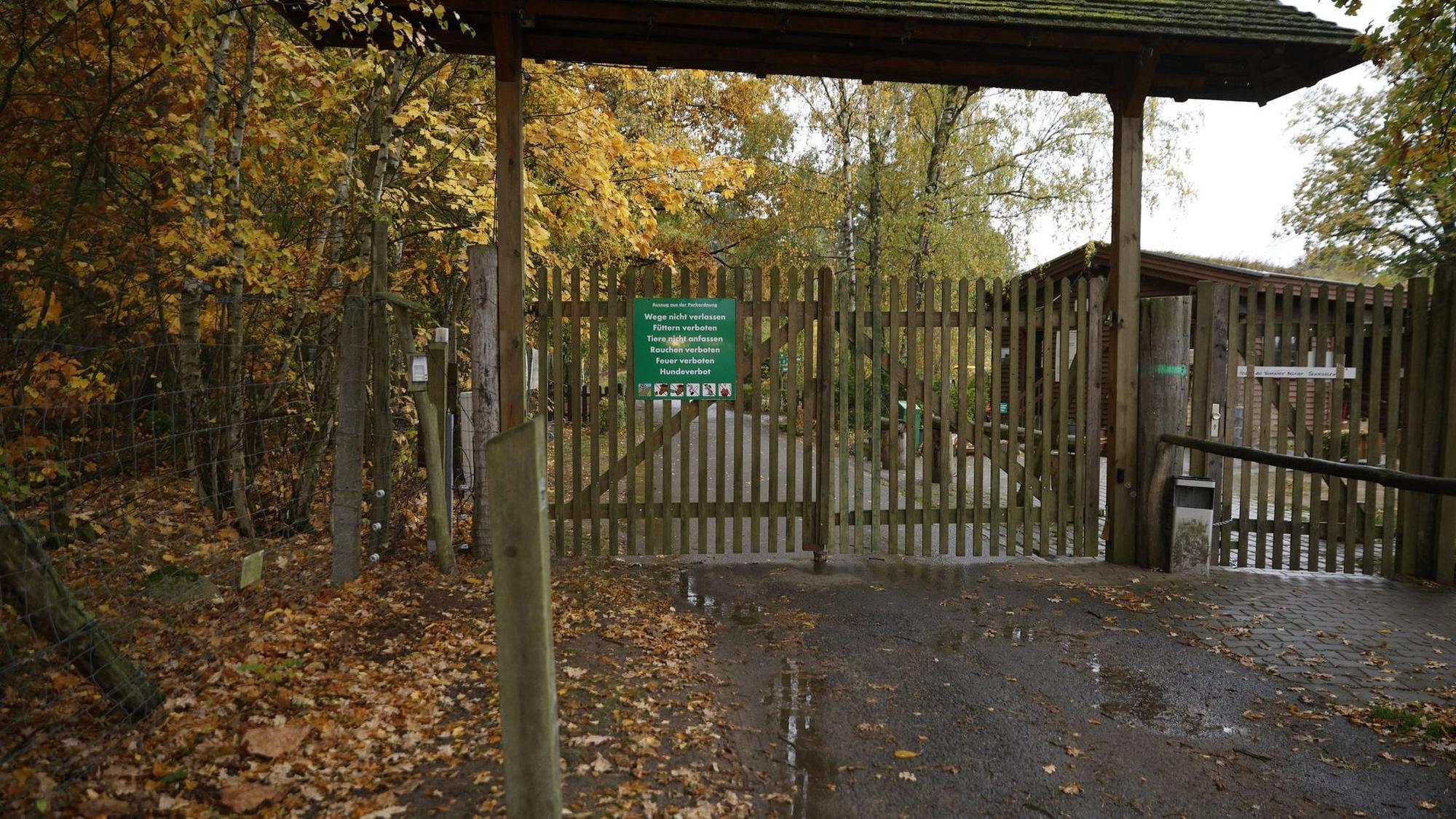 Wolf greift Kind in Wildpark an