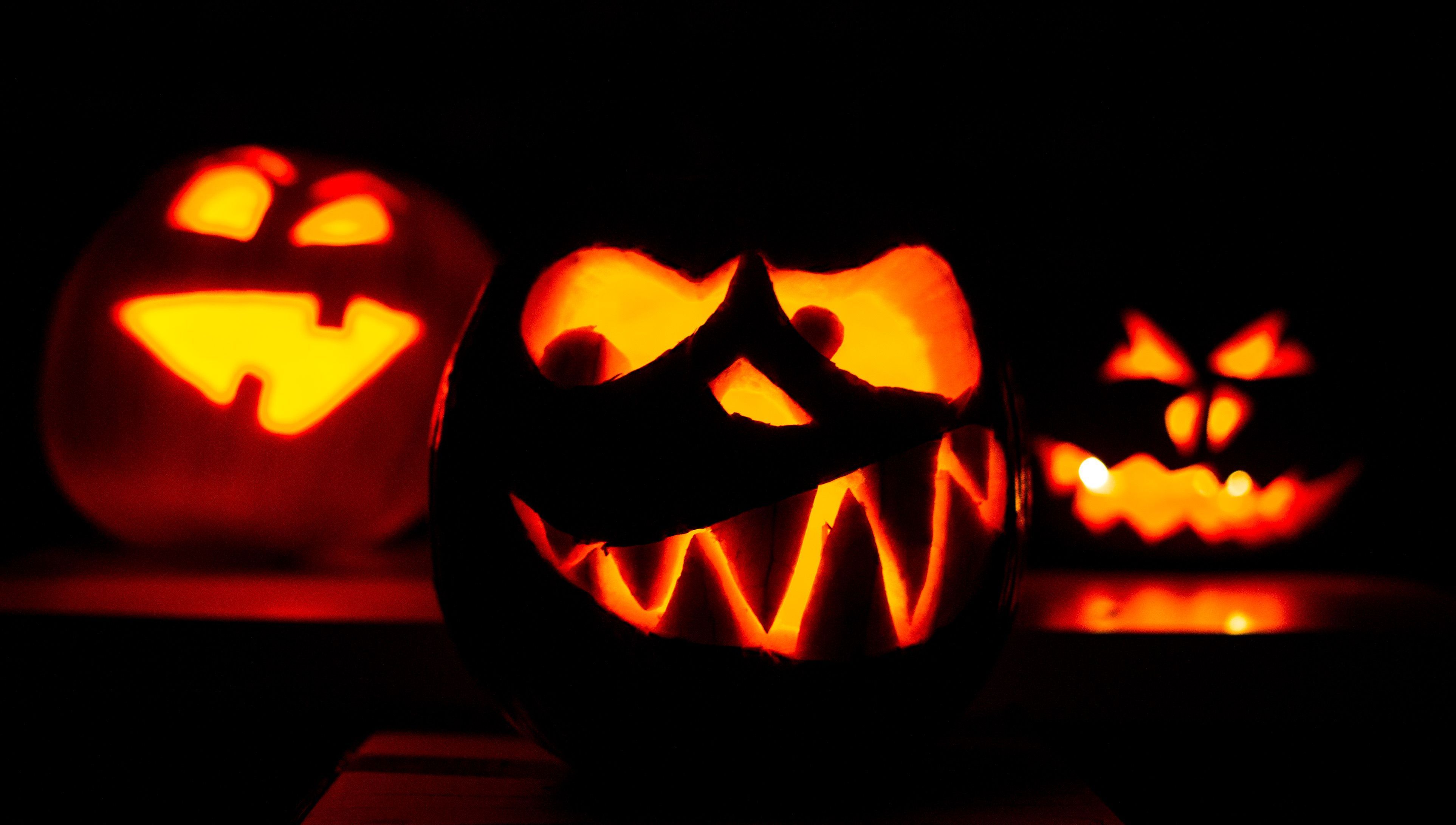 Drei geschnitzte Halloweenkürbisse werden mit Kerzen von innen beleuchtet.