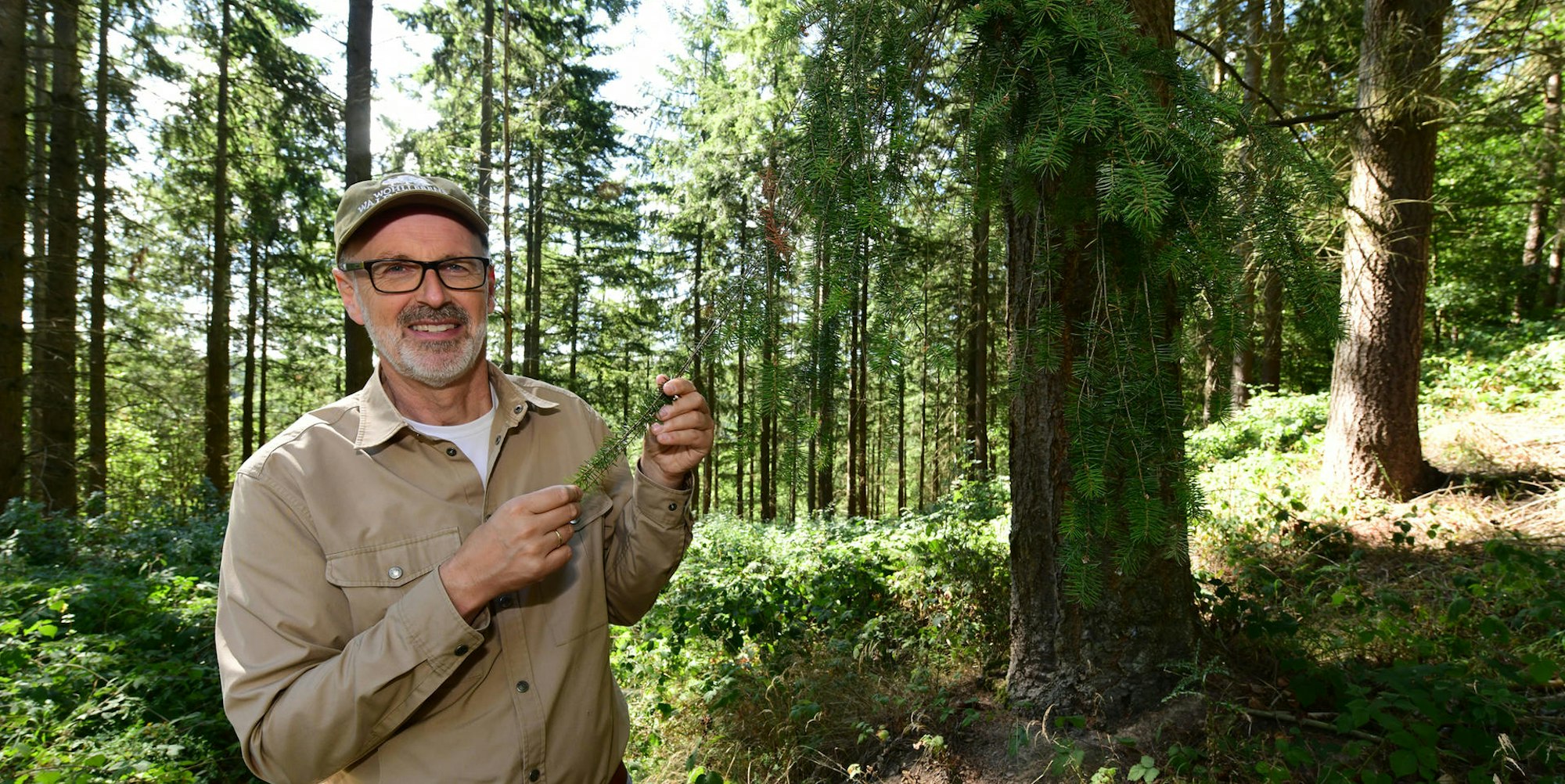 Peter Wohlleben Wanderung Olaf Wull Nickel4