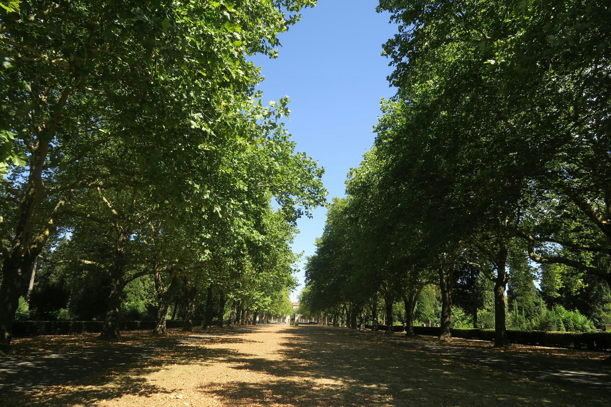 VC-VOG_Westfriedhof-002