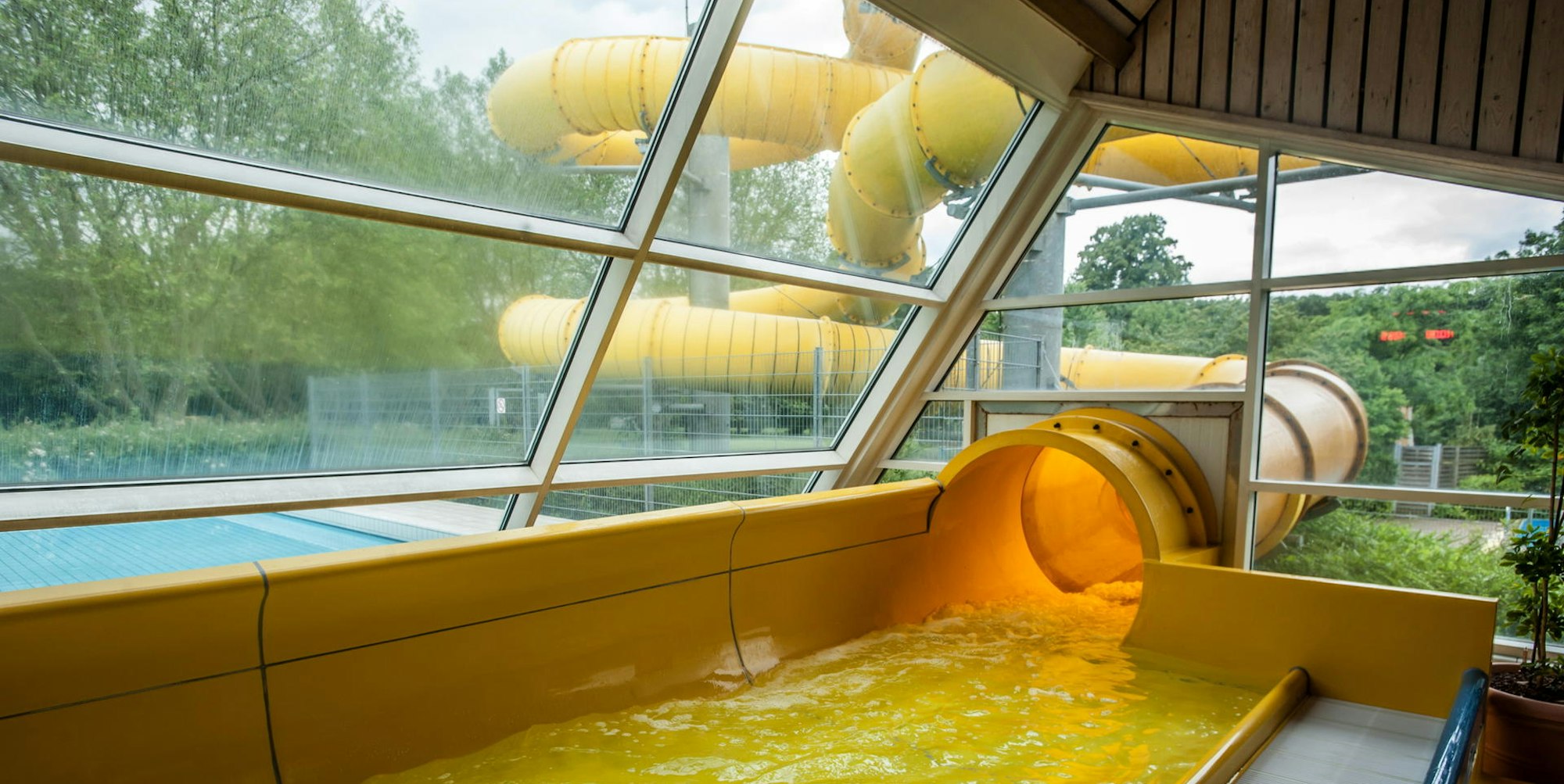 leverkusen-calevornia-ALF_9577