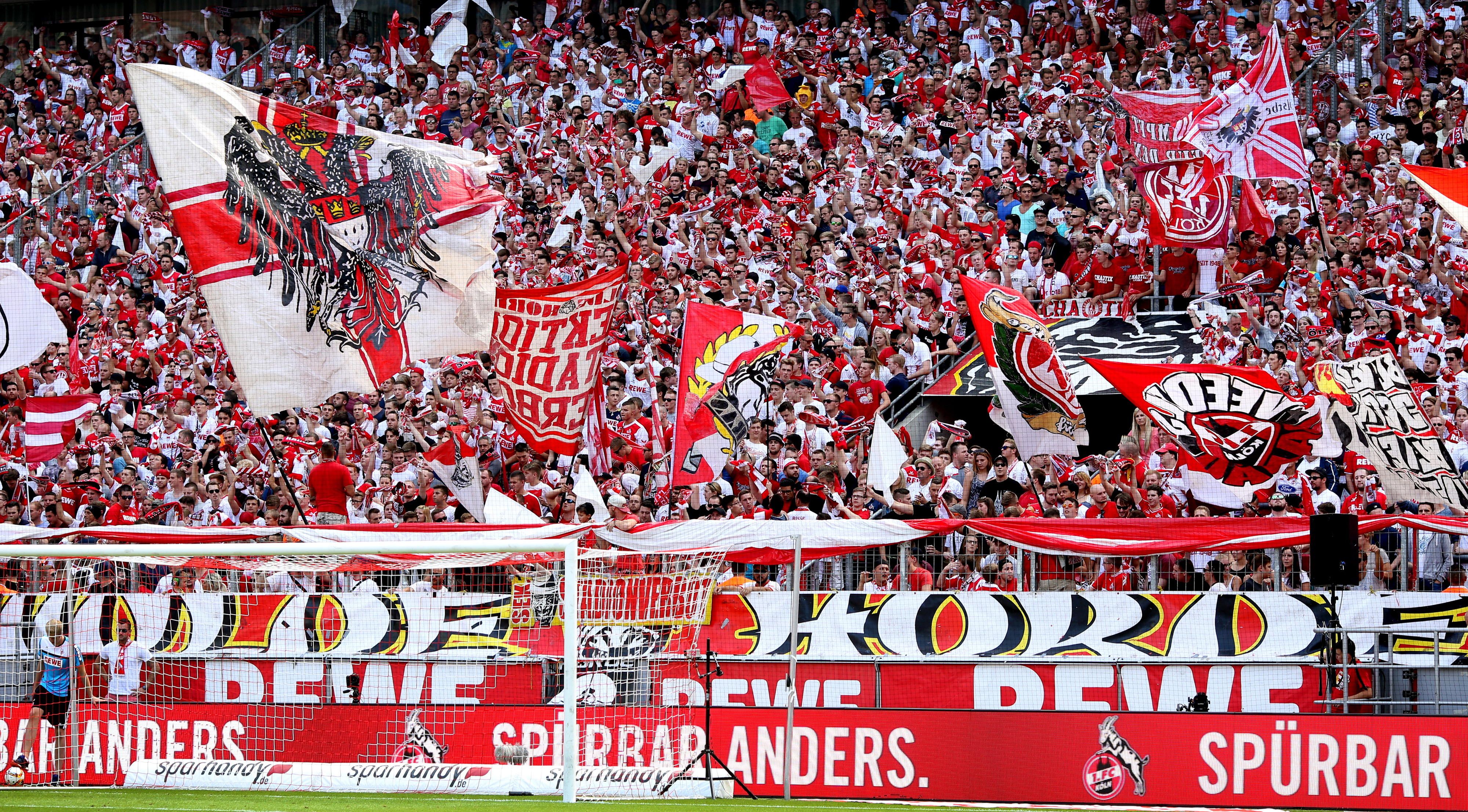 FC-Fans