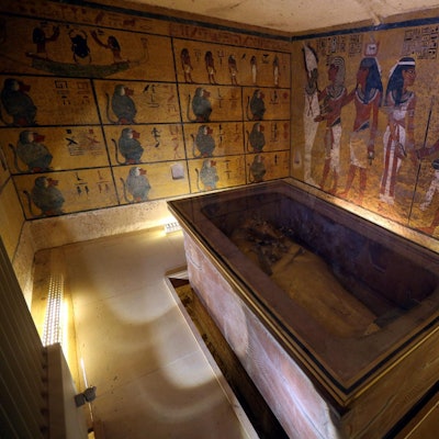 Kairo mumifizierte Löwenbabys 231119