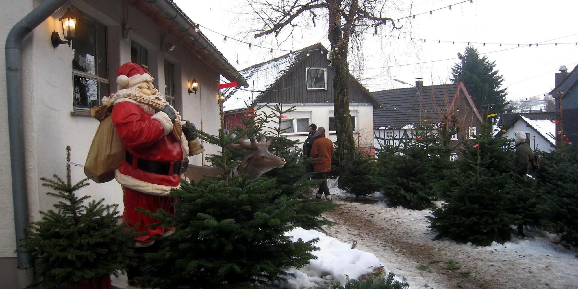 Weihnachtsbaum5