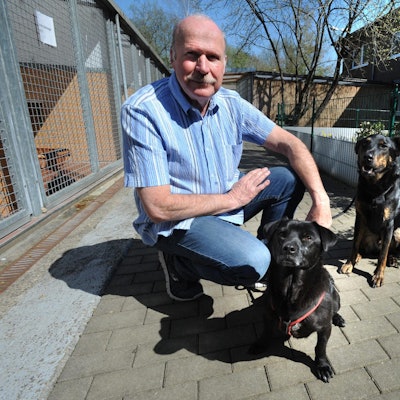 le-tierheim-tauben_(5)