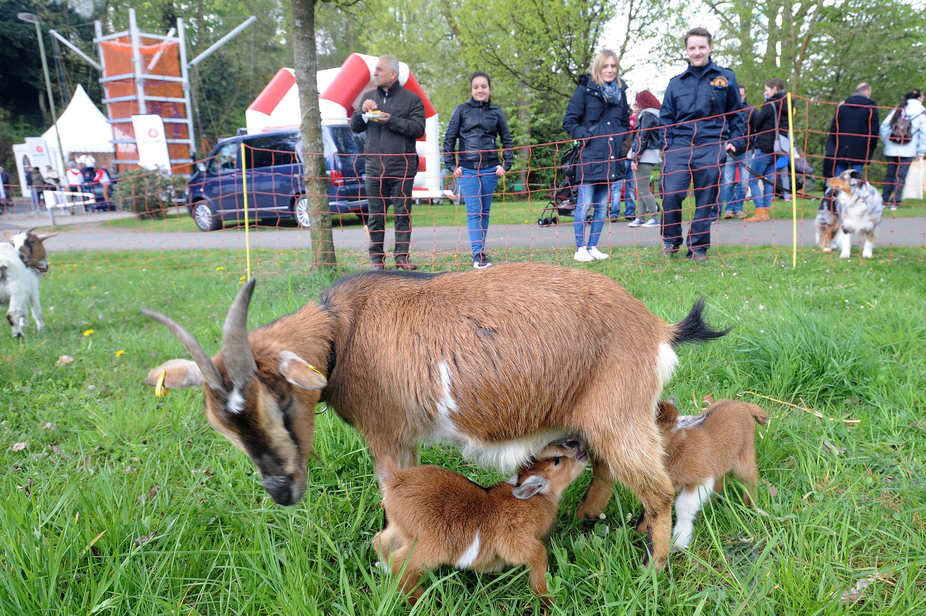 wu-familien-umweltfest_(8)