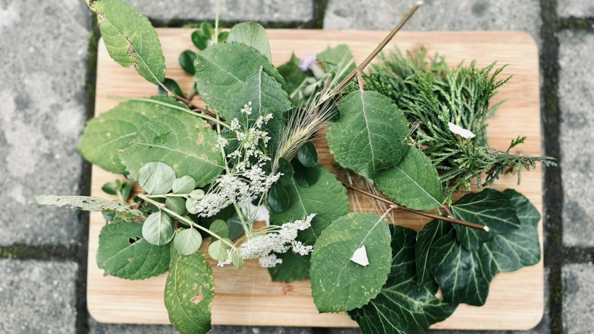 Pflanzenteile auf einem Holzbrett