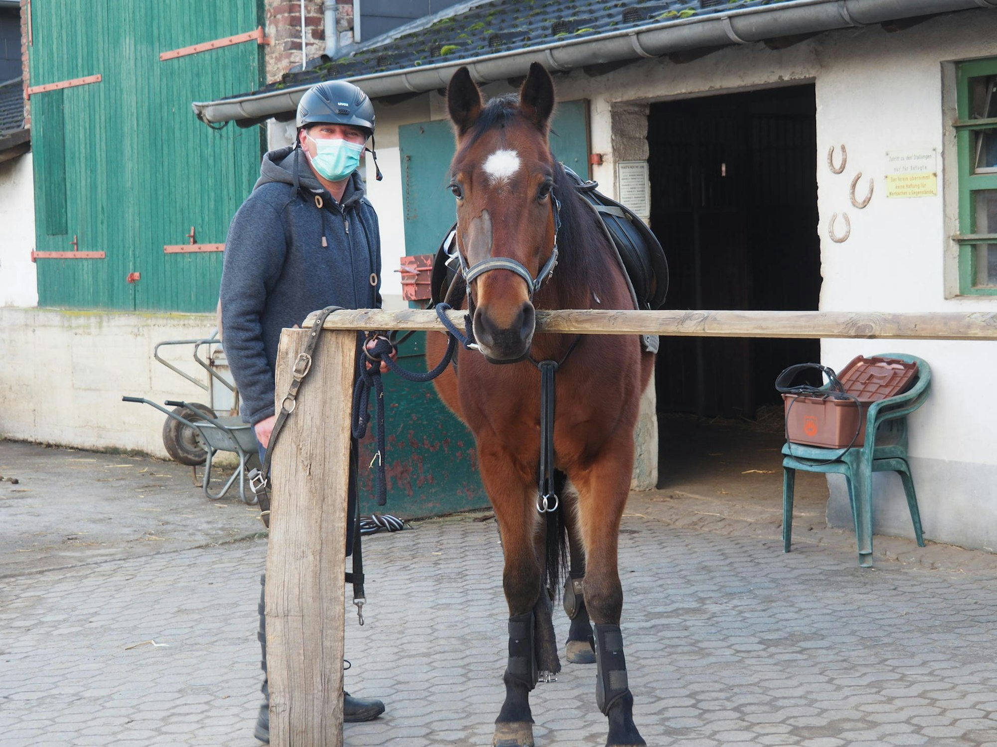 sues Reiten 7 Pablo wurde operiert