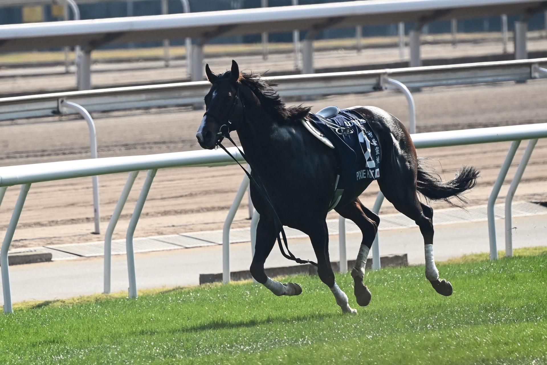 Hong Kong Sprint