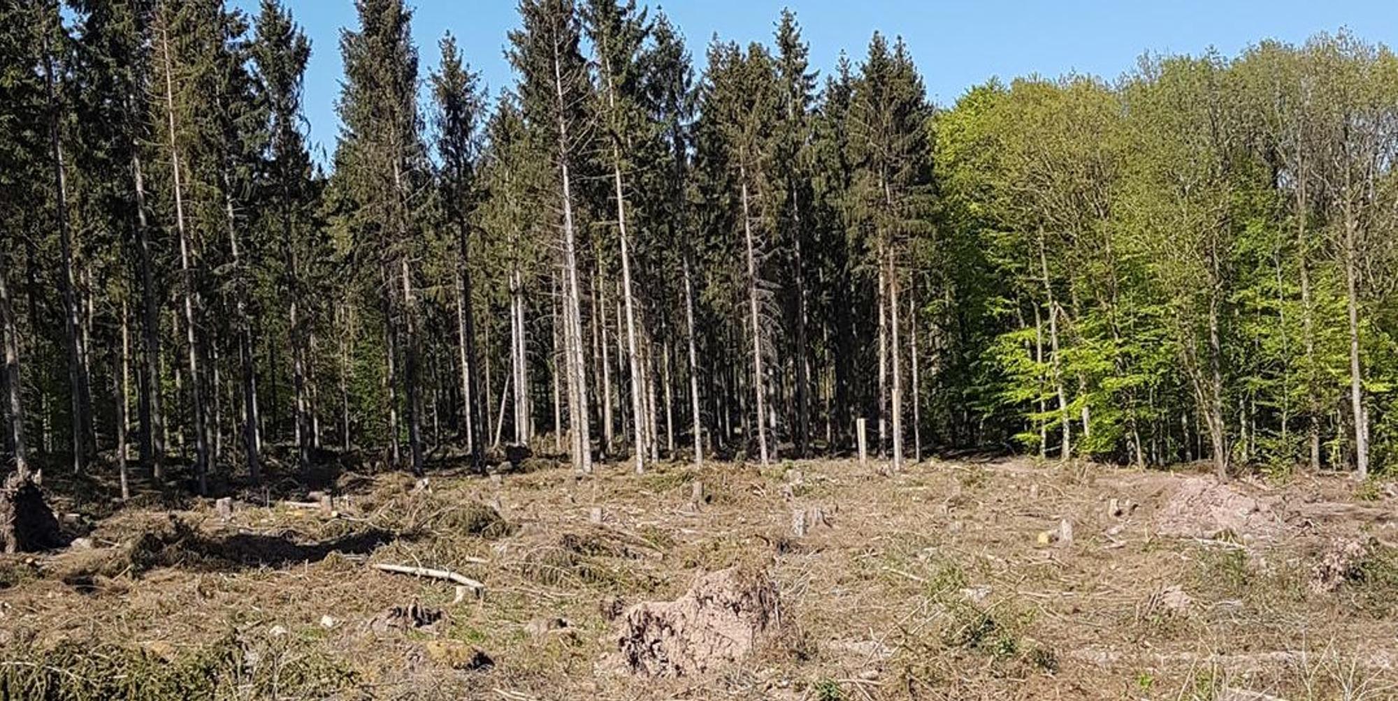 Windkraft_standort