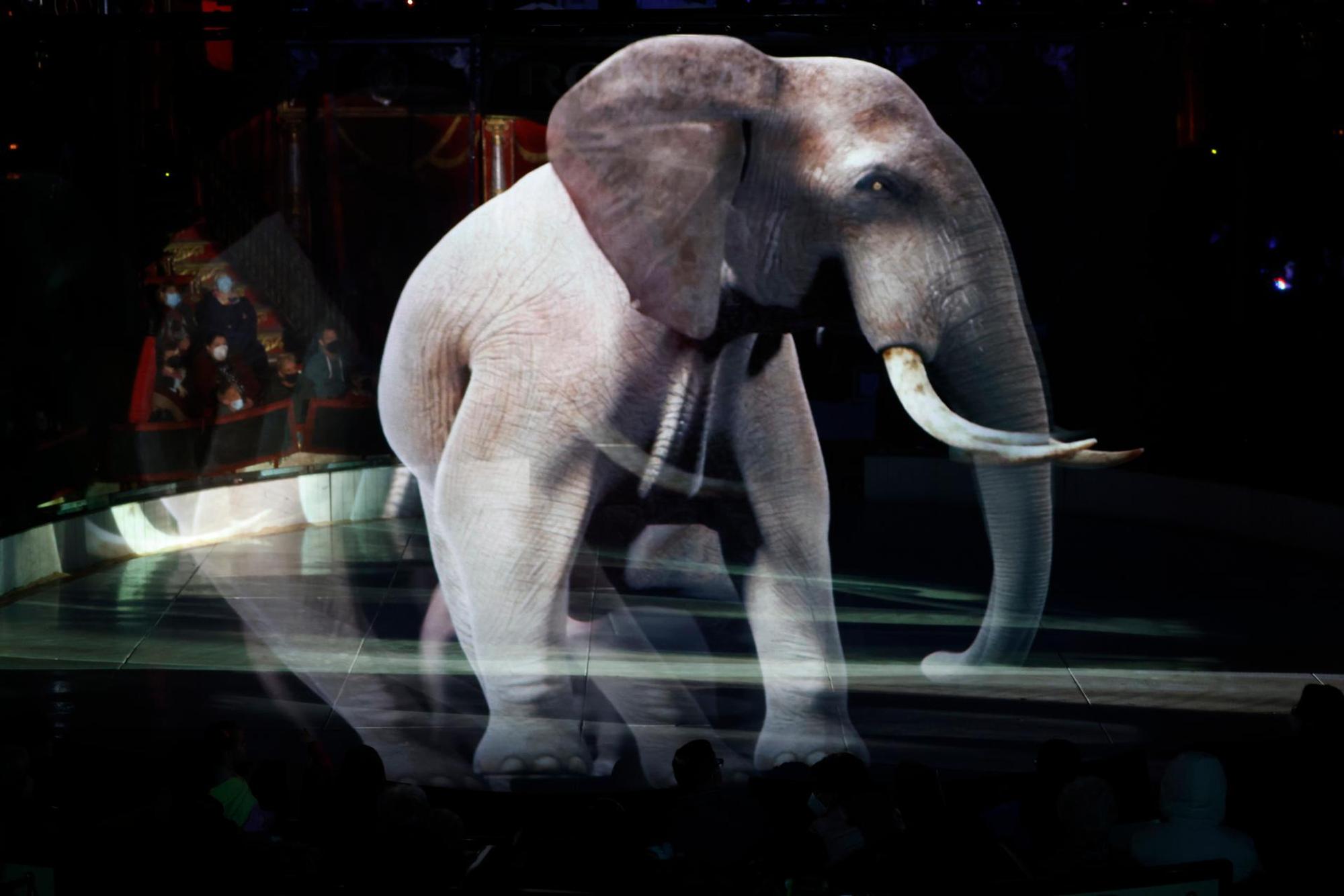 2022031_tb_Zirkus_Roncalli_001