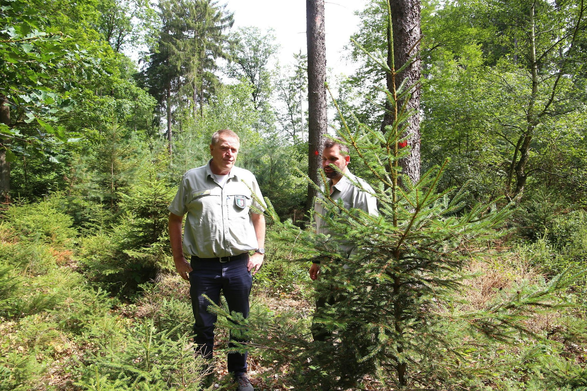 Eifel Thomas Maur Michael Holzwarth