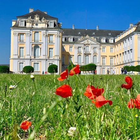 Schloss_Augustusburg