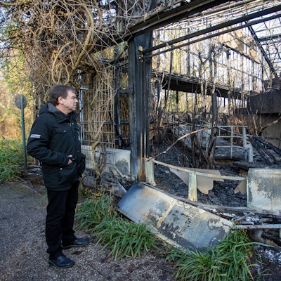 Krefeld Zoo Ruine