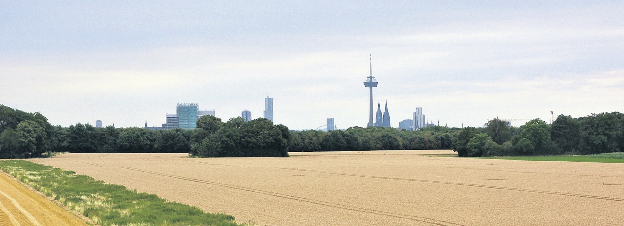 tier0_2018_07_17_MDS-KSTA-2018-07-17-71-135128118