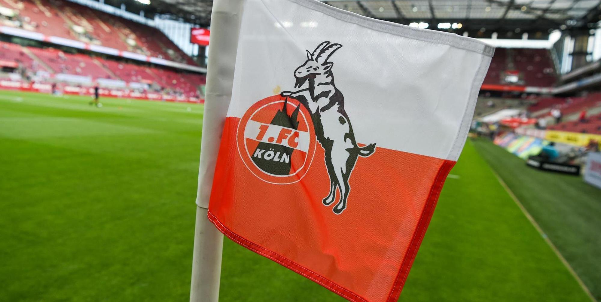 Neuer Inhalt
