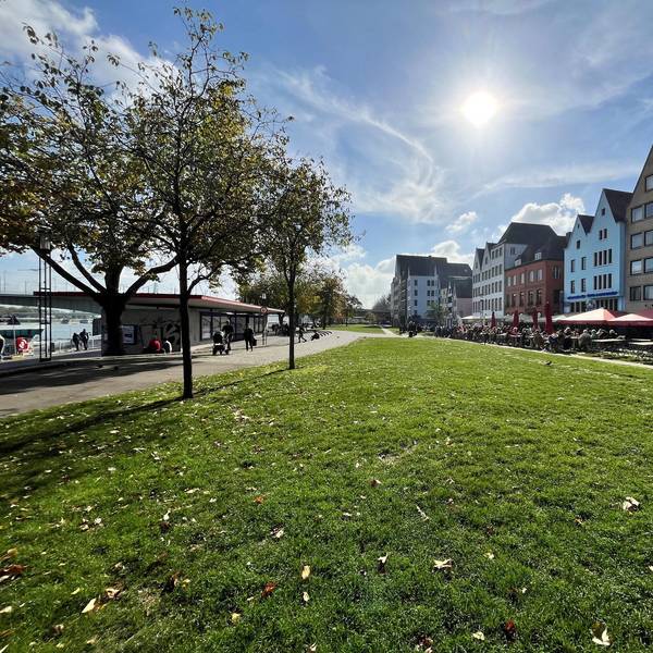 KR Köln Grünfläche Rheingarten Rheinpromenade
