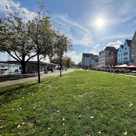 KR Köln Grünfläche Rheingarten Rheinpromenade