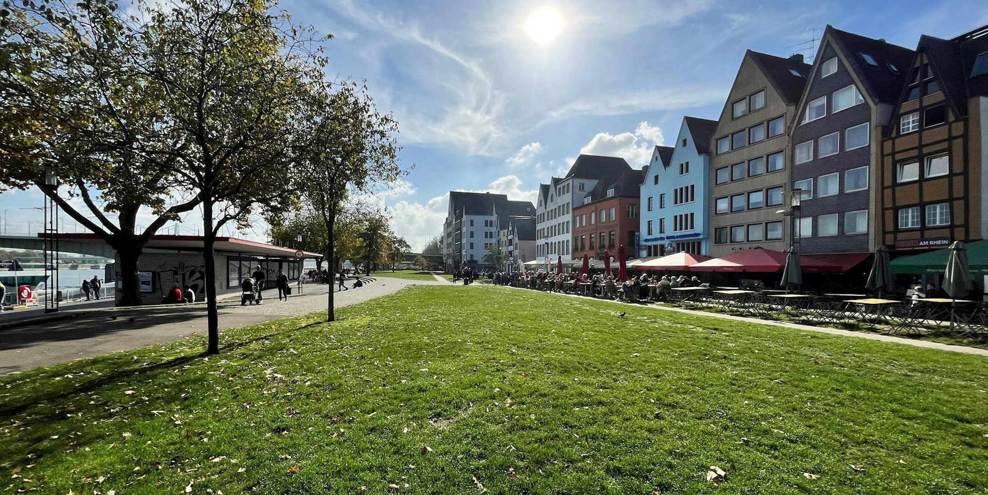 KR Köln Grünfläche Rheingarten Rheinpromenade