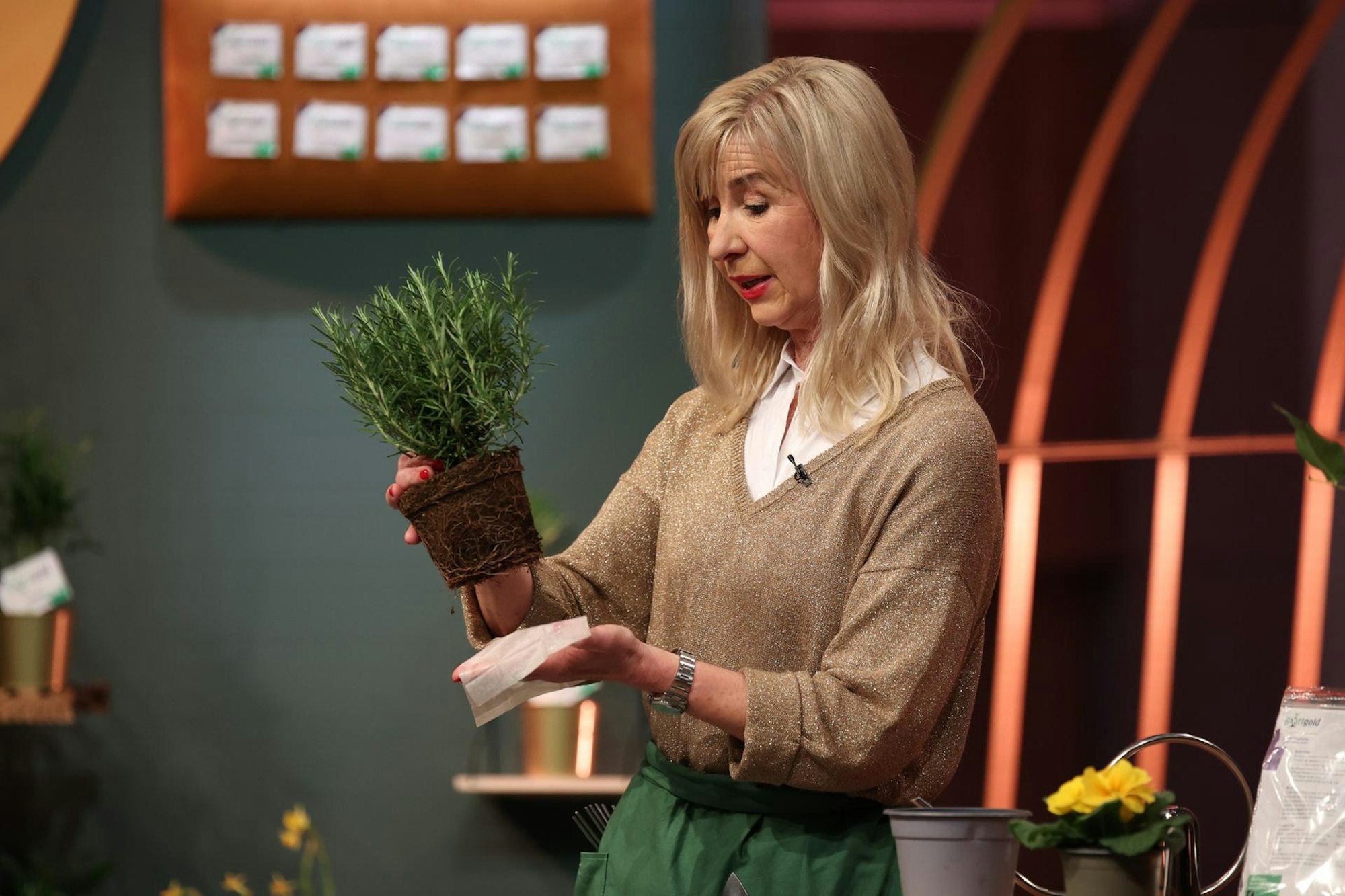 RB Blattgold Höhle der Löwen_3