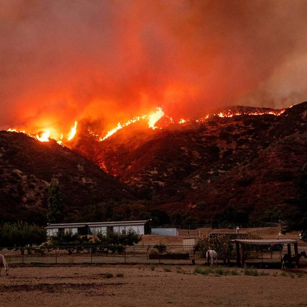 Waldbrand Kalifornien 2