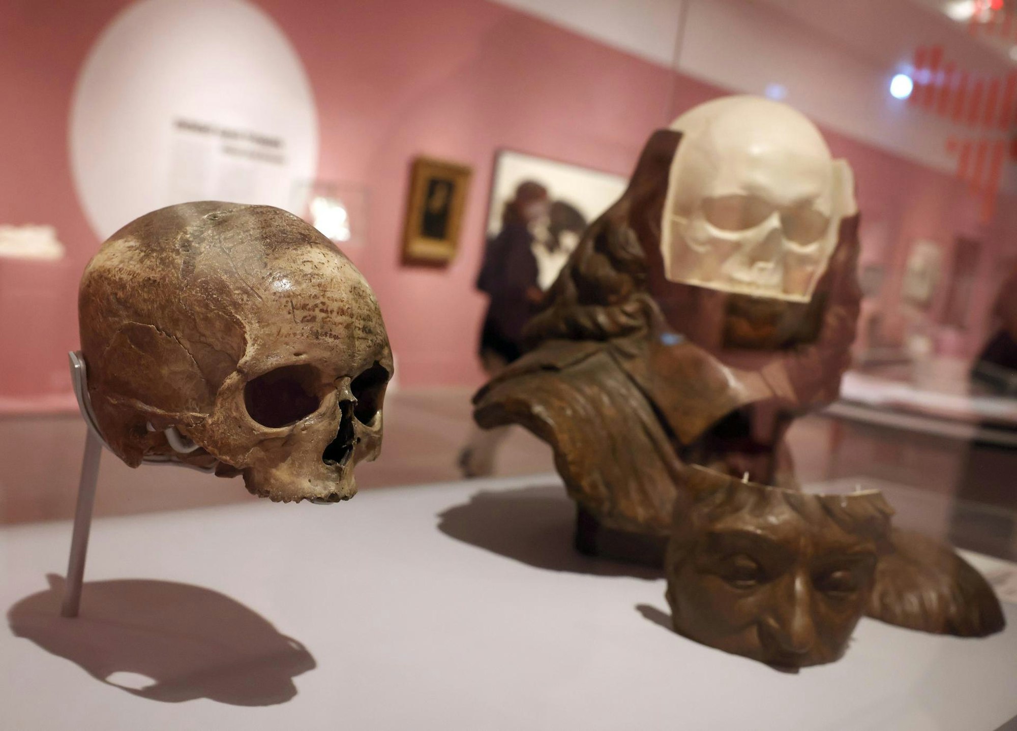 Das Gehirn Bundeskunsthalle 2